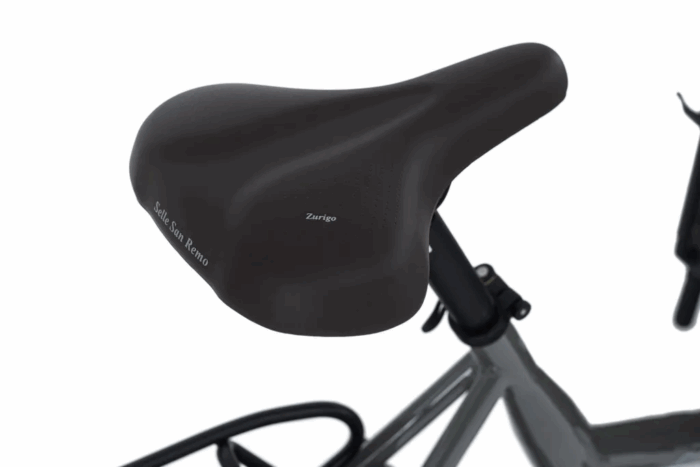 Adore Cargo E-Bike Urban Deluxe grau adore-bikes 259E - Image 6