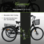 SachsenRad E-Lastenrad T3A Trio Edition 2025 mit Alarmanlage mit LCD Display und StVZO-Zugelassung - Image 6