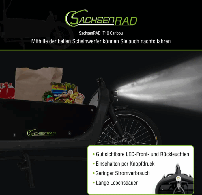 SachsenRAD E-Lastenrad T10 Caribou, Flexible Transportbox mit Versteckter,Abschließbarer Box mit LCD Display und StVZO-Zugelassung für Kindertransport - Image 6