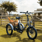 E Bike Dreirad Fat Klapprad E-Bike Lastenfahrrad 20 Zoll 48V 21Ah , Hydraulische Scheibenbremsen Elektrofahrrad, Elektro Lastenfahrrad 180kg Blau - Image 2