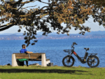 20.8Ah 20 Zoll ebike E-Bike City E-Bikes & E-Hollandräder Elektrofahrrad Tire für Schnee, Stadt, Strand 90KM Reichweite & 150KG Belastung E-Klapprad - Image 10