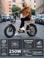 E-Bike Herren Damen Elektrofahrrad, Elektrofahrräder, 20 Zoll , 18AH Off-Road Bike mit 7-Gang-Schaltung 250W 25KMH Ebike 65 Nm E BIKE - Image 8