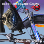 20 Zoll 18AH Elektrofahrrad Pedelec, City E-bike ,Cityräder E-Klapprad 250W Motor,25km/h,E-Bike ,klapprad,LCD-Display,APP - Image 9