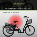 SachsenRad E-Lastenrad T3A Trio Edition 2025 mit Alarmanlage mit LCD Display und StVZO-Zugelassung - Image 7