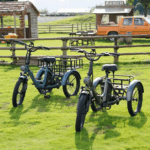 E Bike Dreirad Fat Klapprad E-Bike Lastenfahrrad 20 Zoll 48V 21Ah , Hydraulische Scheibenbremsen Elektrofahrrad, Elektro Lastenfahrrad 180kg Blau - Image 3