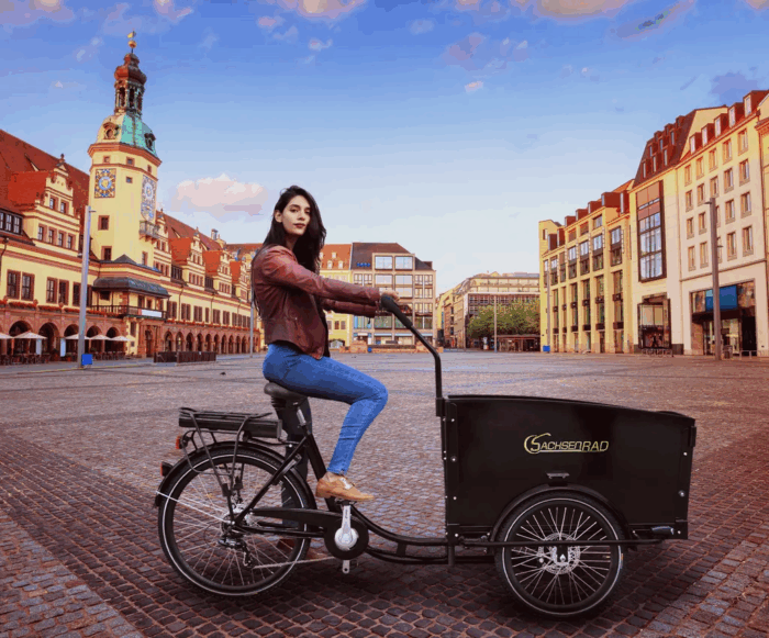 SachsenRAD E-Lastenrad T1 Grand Trunk, Flexible Transportbox mit Versteckter,Abschließbarer Box mit LCD Display und StVZO-Zugelassung, Kindertransport - Image 6