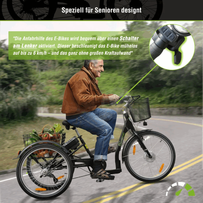 SachsenRad E-Lastenrad T3A Trio Edition 2025 mit Alarmanlage mit LCD Display und StVZO-Zugelassung - Image 3
