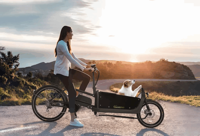 SachsenRAD E-Lastenrad T10 Caribou, Flexible Transportbox mit Versteckter,Abschließbarer Box mit LCD Display und StVZO-Zugelassung für Kindertransport - Image 4