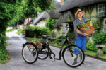 SachsenRad E-Lastenrad T3A Trio Edition 2025 mit Alarmanlage mit LCD Display und StVZO-Zugelassung - Image 4